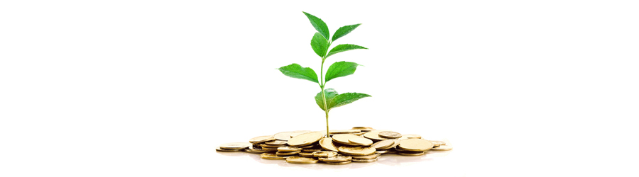 How Much Should You Invest in Your Best Marketing Tool?